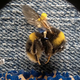 Image for article titled World's Smallest Stop-Motion Video Was Filmed With a Nokia N8 Phone